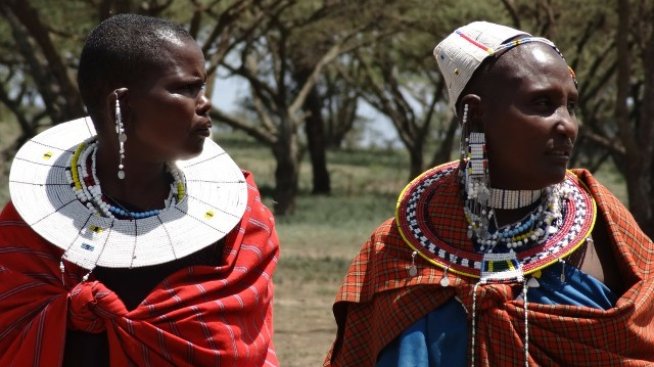 Графика на деня: Кои страни са с най-голямо етническо разнообразие?