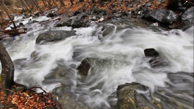 Плащането за екосистемни услуги у нас засега става по доброволни инициативи на бизнеса