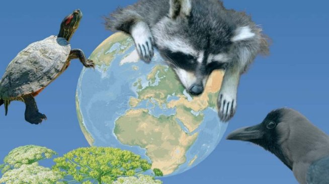 Екоексперт: Стандартите за биоразнообразие за бизнеса ще излязат на пазара през 2023 г.