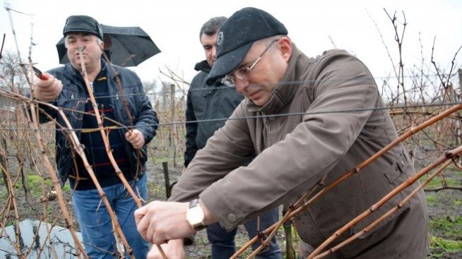 Порожанов: Ще настояваме за сближаване на субсидиите в ОСП