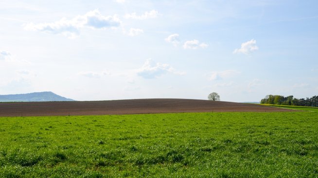 „Сток Плюс“ ще изплати 0,05 лв. междинен дивидент на акция