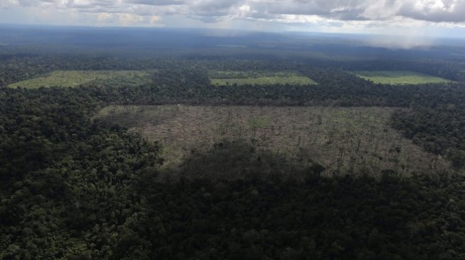Броят на пожарите в Амазонската джунгла продължава да расте