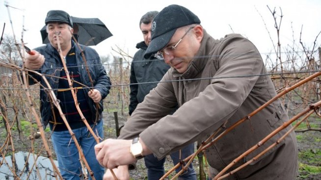 България изнася по около 64 млн. литра вино на година