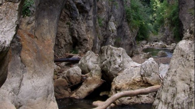 Преди референдума в Трън икономист сравни регионите със и без рудодобив