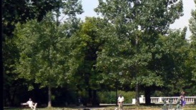 Близо 400 предложения са постъпили по плана за Борисовата градина