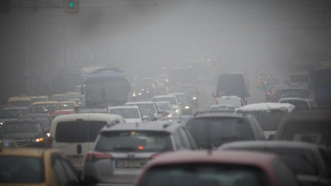 Нона Караджова: Предложението на МОСВ за дизеловите коли е правилна стъпка