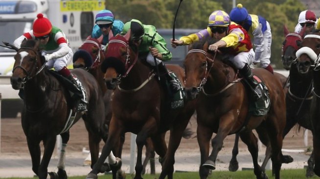 Монголия обмисля легализирането на конните надбягвания