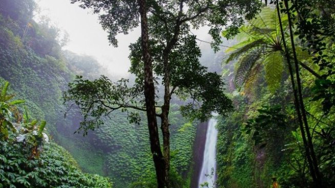 Светът окупира тропически територии и е изложен на риск от нови патогени