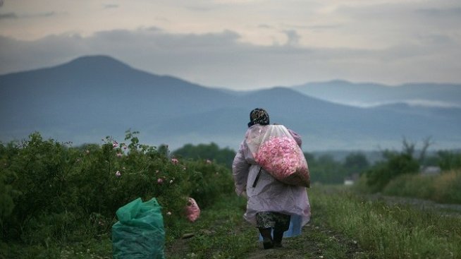 Еднодневните договори в земеделието ще са за 4 или 8 часа труд