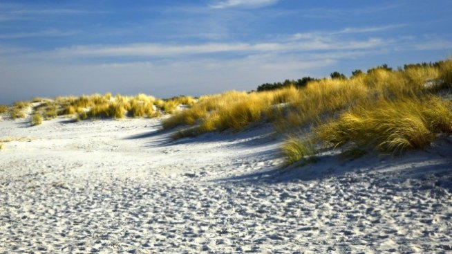 Определен е концесионер на плаж „Каваци - юг" до Несебър