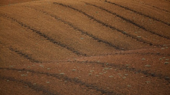 Нетната печалба на „БГ Агро“ нараства с близо 84% през първото тримесечие