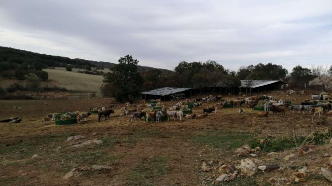 Енергийната ефективност и кръговата икономика вече не са тема табу за микрофермите у нас