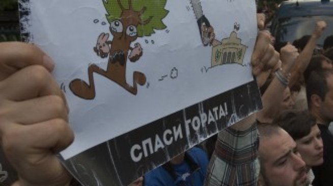 Властта вкара Закона за горите в задънена улица 