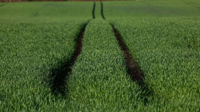 Кадър на деня за 7 юли