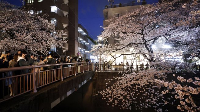 Япония е готова до остави повече зомби фирми да фалират, за да увеличи производителността