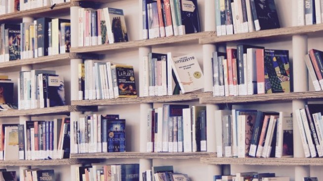 Н. Кицевски: Намаление на ДДС върху книгите няма да увеличи читателите