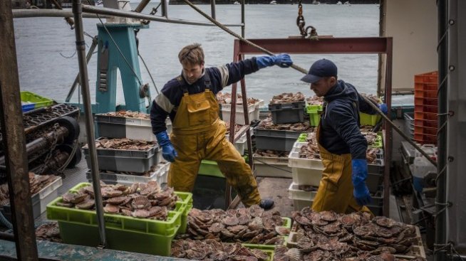 Франция отлага санкциите срещу Великобритания заради рибния спор
