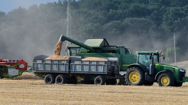 Цената на хлебната пшеница в Добричкия регион продължава да расте