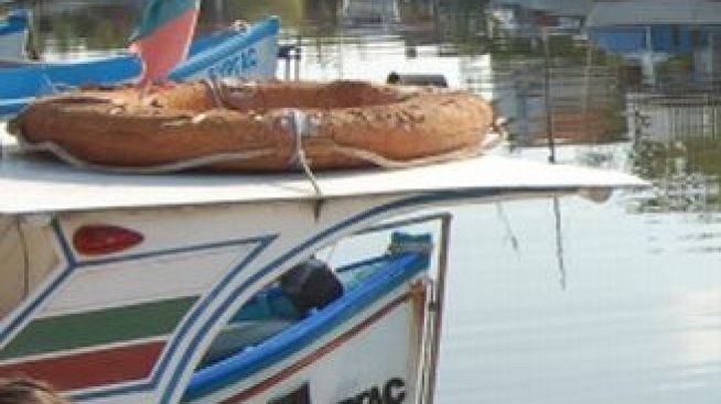 Рязък завой към екология в политиката по рибарство на ЕС до 2020 г.