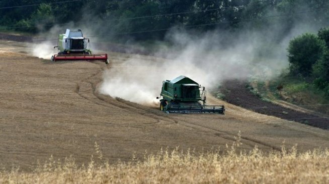 Дъждовното лято вдигна цената на пшеницата