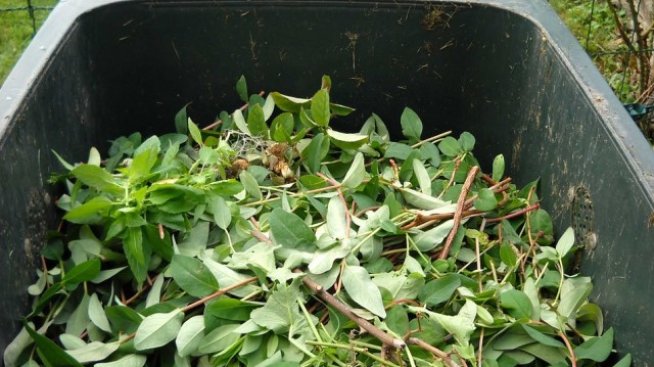 Намаляват изхвърляните от българите отпадъци