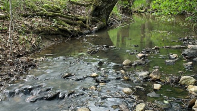 България е на осмо място в ЕС по количества пресни води