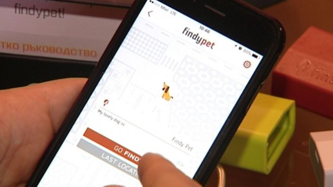 FindyPet - устройството, с което няма да има загубени домашни любимци