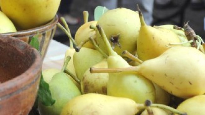 Над 3,7 млн. лв. се отпускат по схемата „Училищен плод“ от есента