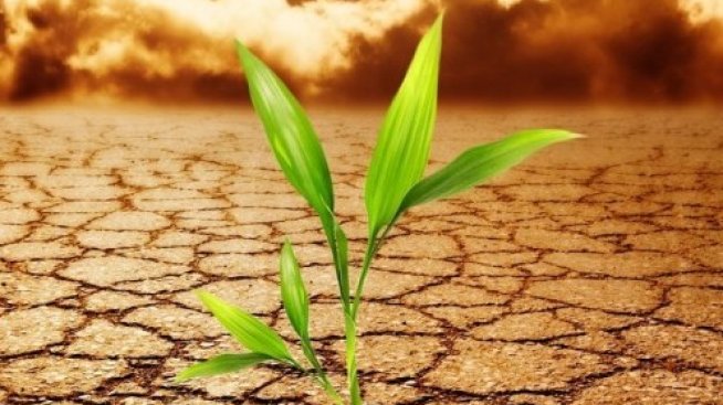 Настъпва ли ерата на разтопената зима