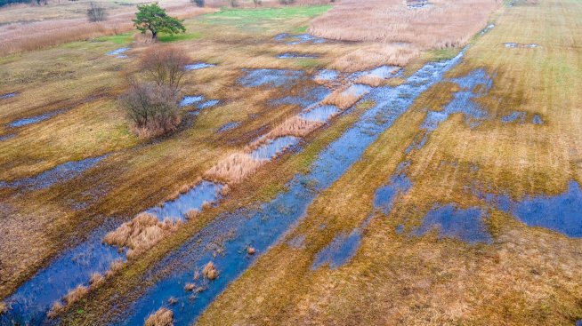 Изменението на климата може да струва на Германия до 900 млрд. евро до 2050 г.