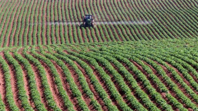 Д. Танева: Най-важният документ за земеделието ни е Поземленият кодекс