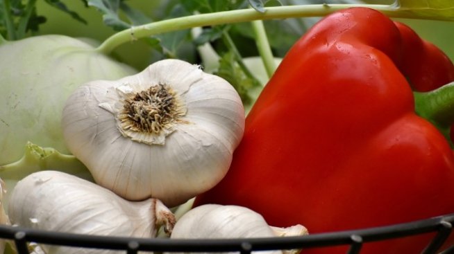 Градинарите ще получат държавна помощ за сертификати GlobalGAP