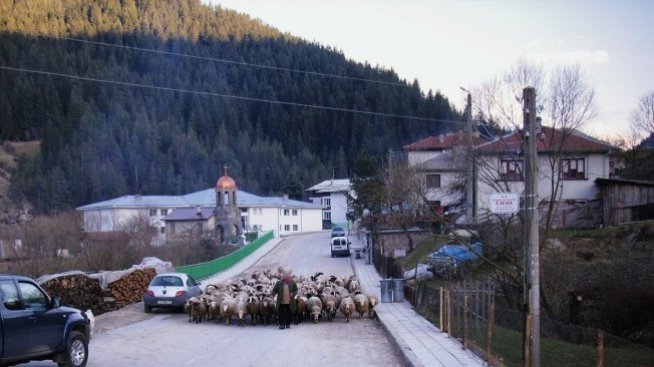 Германия, Русия и Израел са големите пазари за българския туризъм