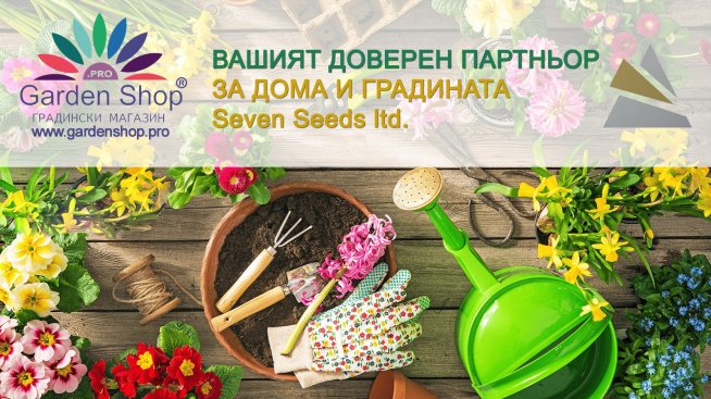 Ключът към успеха за един онлайн магазин &ndash; "Севън Сийдс" ООД