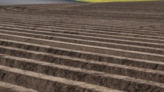 Италия и Нидерландия са страните с най-скъп наем на обработваема земя в ЕС