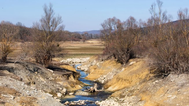 ЕЦБ трябва да съчетае климатичните политики с инфлационната битка
