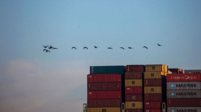 Как пандемията разкрива слабите звена в глобалната верига на доставки