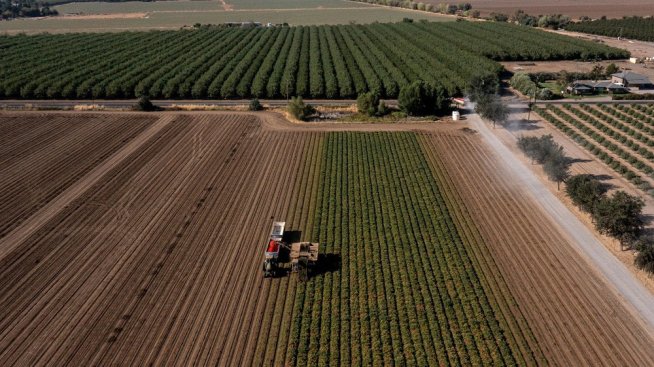 От 2010 г. тече устойчива тенденция по окрупняване на земеделските стопанства в България