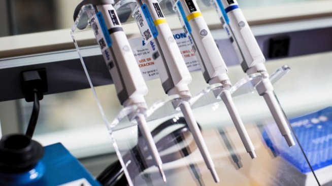 Защо имунизацията по време на пандемия е по-важна от всякога?