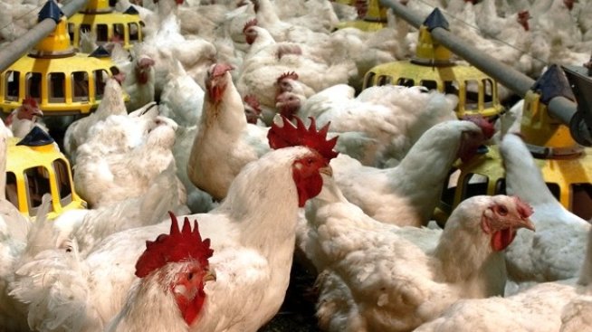 Градус увеличава нетната печалба за първото тримесечие до над 17 млн. лева