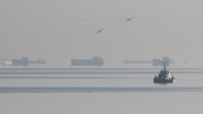 Любов Минчева: България трябва да е предпазлива по отношение на Украйна