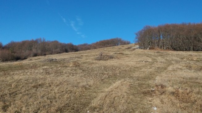 Елана Агрокредит с 2% ръст на финансираните сделки до 12,4 млн. лв. за 11 месеца