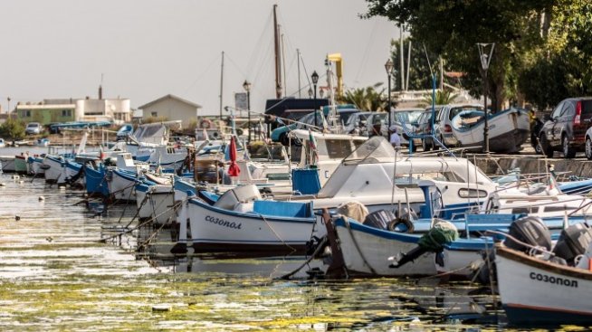 Нов доклад представя оптимистични данни за риболова в Черно море