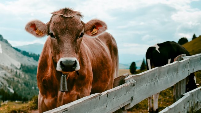 Инфлационната цел от 2% не трябва да е свещена крава