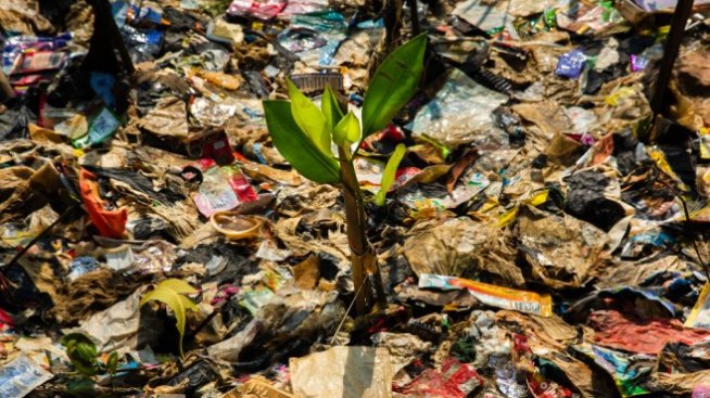 ЕС разглежда възможността за забрана на пластмасовите опаковки