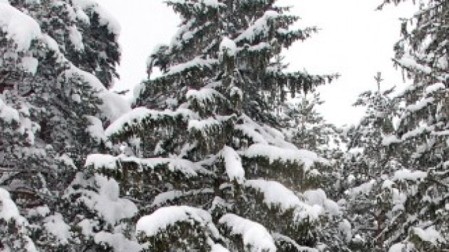 Еколози алармират за лобистки промени и в закона за спорта