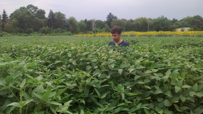 Управляващите готвят тотално преструктуриране на Селскостопанска академия