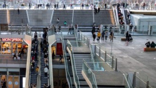 Могат ли жилищата да спасят моловете?