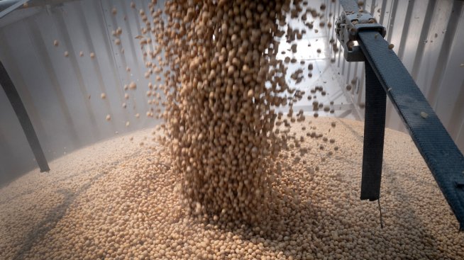 Русия увеличава износа си на зърно с реколтата от украинските части под неин контрол