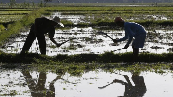 Културата създава културата